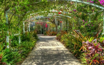 Orto Botanico di Napoli: un’esperienza immersiva nella natura