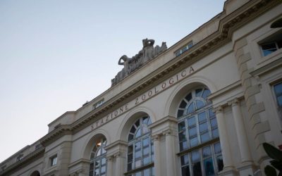 Acquario Anton Dohrn: un pezzo di storia della città