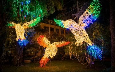 Luci di Natale: dove vederle in Campania